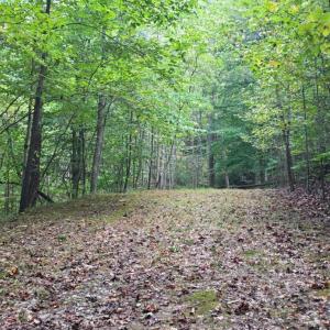 Photo #17 of BROOKWOOD Drive, Evington, VA 3.8 acres