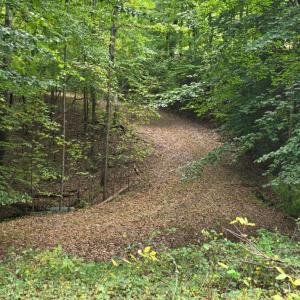 Photo #11 of BROOKWOOD Drive, Evington, VA 3.8 acres