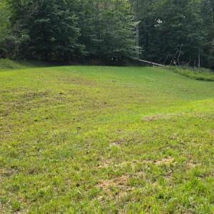 Photo #7 of BROOKWOOD Drive, Evington, VA 3.8 acres