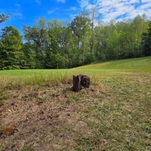 Photo #13 of BROOKWOOD Drive, Evington, VA 3.8 acres