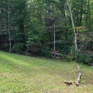 Photo #10 of BROOKWOOD Drive, Evington, VA 3.8 acres