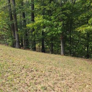 Photo #18 of BROOKWOOD Drive, Evington, VA 3.8 acres