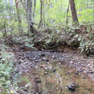 Photo #11 of 33 Piney Mountain Lane, Shipman, VA 12.1 acres