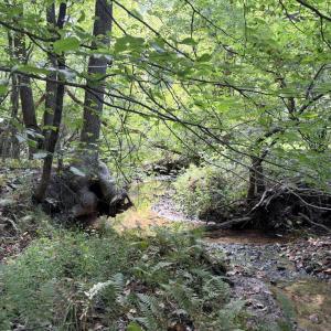 Photo #1 of 33 Piney Mountain Lane, Shipman, VA 12.1 acres