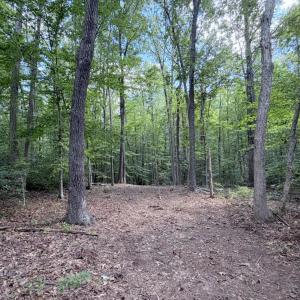 Photo #17 of 33 Piney Mountain Lane, Shipman, VA 12.1 acres