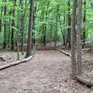 Photo #3 of 33 Piney Mountain Lane, Shipman, VA 12.1 acres