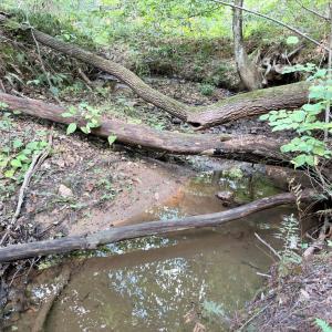 Photo #13 of 33 Piney Mountain Lane, Shipman, VA 12.1 acres