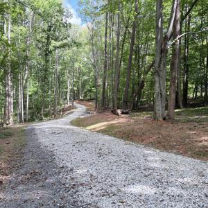 Photo #14 of 33 Piney Mountain Lane, Shipman, VA 12.1 acres