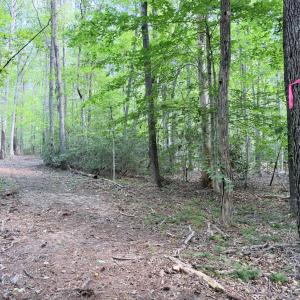Photo #16 of 33 Piney Mountain Lane, Shipman, VA 12.1 acres