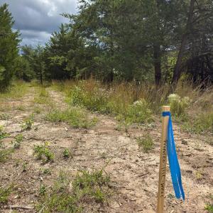 Photo #23 of Lot 56A Bethany Road, Rustburg, VA 4.4 acres