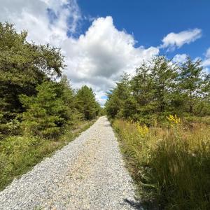 Photo #24 of Lot 56A Bethany Road, Rustburg, VA 4.4 acres