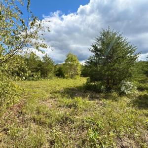 Photo #2 of Lot 56A Bethany Road, Rustburg, VA 4.4 acres