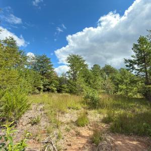 Photo #22 of Lot 56A Bethany Road, Rustburg, VA 4.4 acres