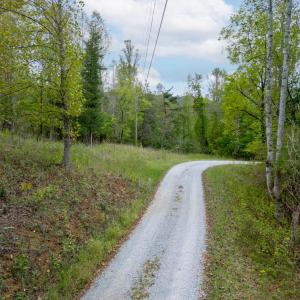 Photo #2 of Crest of Pedlar Drive, Monroe, VA 12.2 acres