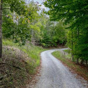 Photo #3 of Crest of Pedlar Drive, Monroe, VA 12.2 acres
