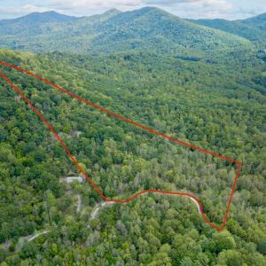 Lot lines are approximate