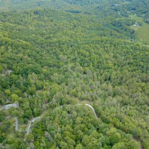 Photo #5 of Crest of Pedlar Drive, Monroe, VA 1.2 acres