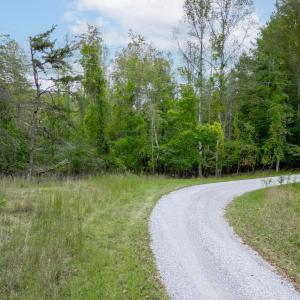 Photo #2 of Crest of Pedlar Drive, Monroe, VA 1.2 acres