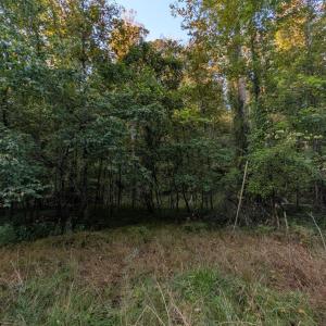 Photo #4 of 206 Chambersville Street, Lynchburg, VA 6.3 acres