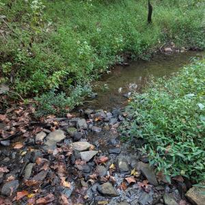 Photo #2 of 206 Chambersville Street, Lynchburg, VA 6.3 acres
