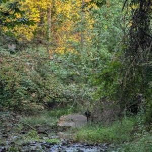 Photo #3 of 206 Chambersville Street, Lynchburg, VA 6.3 acres