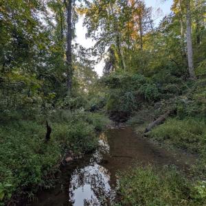 Photo #1 of 206 Chambersville Street, Lynchburg, VA 6.3 acres