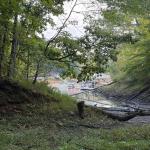 Photo #2 of Waterway Court, Lynch Station, VA 1.6 acres