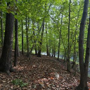 Photo #3 of Waterway Court, Lynch Station, VA 1.6 acres