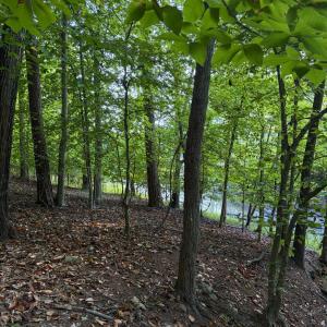 Photo #4 of Waterway Court, Lynch Station, VA 1.6 acres