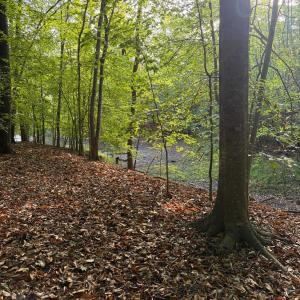 Photo #5 of Waterway Court, Lynch Station, VA 1.6 acres