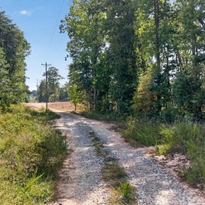 Photo #8 of Long Island Road, Gladys, VA 44.2 acres