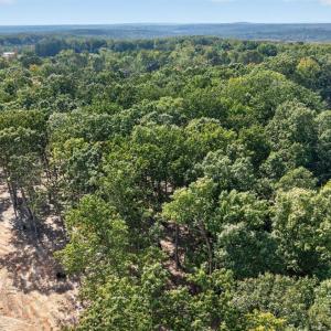 Photo #9 of Long Island Road, Gladys, VA 44.2 acres
