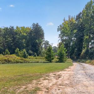 Photo #3 of Long Island Road, Gladys, VA 44.2 acres