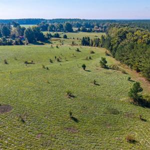 Photo #57 of 2901 Lewis Ford Road, Brookneal, VA 162.5 acres