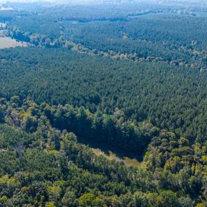 Photo #68 of 2901 Lewis Ford Road, Brookneal, VA 162.5 acres