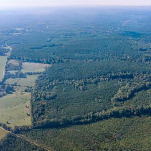 Photo #16 of 2901 Lewis Ford Road, Brookneal, VA 162.5 acres