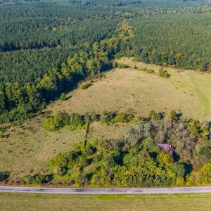 Photo #21 of 2901 Lewis Ford Road, Brookneal, VA 162.5 acres
