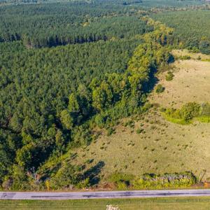 Photo #22 of 2901 Lewis Ford Road, Brookneal, VA 162.5 acres