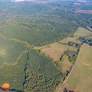 Photo #5 of 2901 Lewis Ford Road, Brookneal, VA 162.5 acres