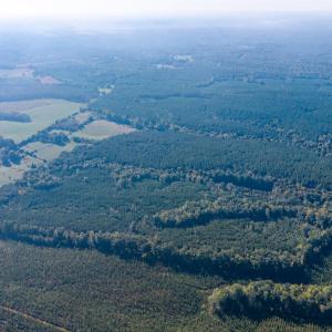 Photo #15 of 2901 Lewis Ford Road, Brookneal, VA 162.5 acres