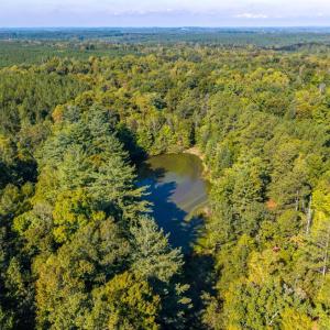 Photo #44 of 2901 Lewis Ford Road, Brookneal, VA 162.5 acres