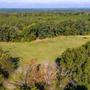 Photo #28 of 2901 Lewis Ford Road, Brookneal, VA 162.5 acres