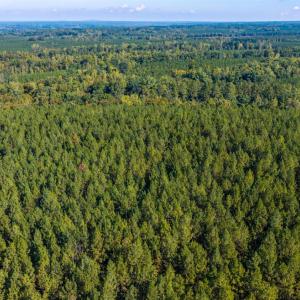 Photo #63 of 2901 Lewis Ford Road, Brookneal, VA 162.5 acres