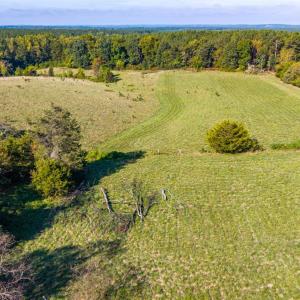 Photo #27 of 2901 Lewis Ford Road, Brookneal, VA 162.5 acres