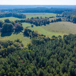 Photo #42 of 2901 Lewis Ford Road, Brookneal, VA 162.5 acres