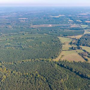 Photo #9 of 2901 Lewis Ford Road, Brookneal, VA 162.5 acres