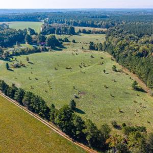 Photo #55 of 2901 Lewis Ford Road, Brookneal, VA 162.5 acres