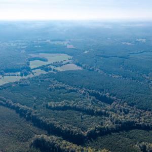 Photo #14 of 2901 Lewis Ford Road, Brookneal, VA 162.5 acres