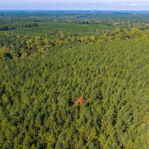 Photo #61 of 2901 Lewis Ford Road, Brookneal, VA 162.5 acres