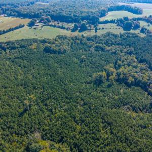 Photo #70 of 2901 Lewis Ford Road, Brookneal, VA 162.5 acres